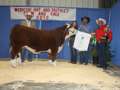 2013 Irvine 4-H Beef & Medicine Hat District Champion Steer weighing 1340 lbs and sold for $3.40/lb to Deerview Meats