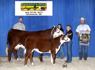BBSF 040035 Cindy 21W