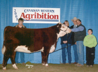 BBSF 19D Unique 1P