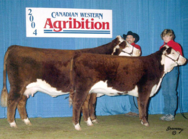 BBSF 430H Queen ET 3M