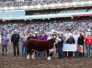 Budlight Stampede 2013