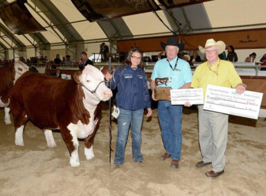 2013 Hereford Champion