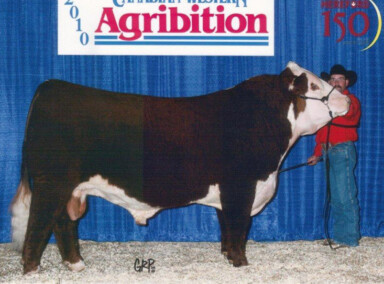 Coalition 2010 Agribition