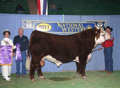 Coalition 2011 Stock Show
