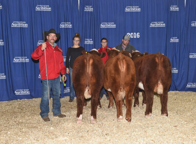 Junior Get of Sire at 2016 Agribition sired by DCR 713 Iconic 312