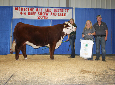 Stetson - 2015 Irvine 4-H Beef and Medicine Hat District Champion Steer weighing 1479 lbs and sold for $3.80/lb to Deluxe Meats